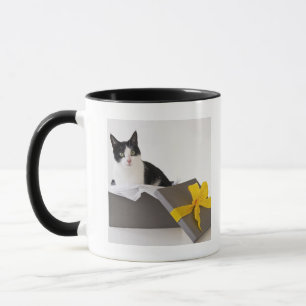 Mug Studio tiré du chat noir et blanc dans la