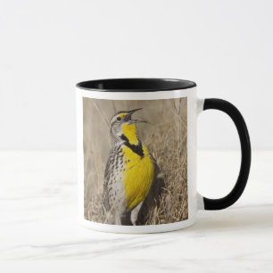 Mug Sturnelle de l'Ouest (Strunella neglecta)
