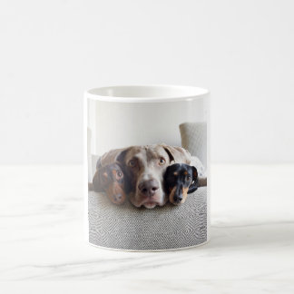 Mug Subwoofers