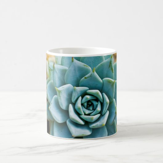 Mug Succulent (Centre)