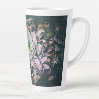 Mug Succulent