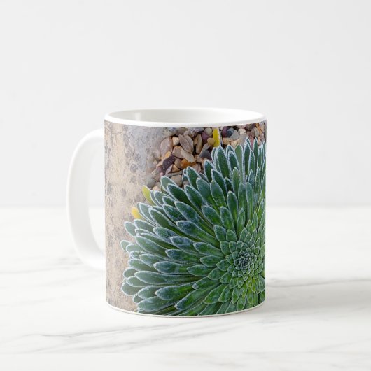 Mug Succulent plante du désert (Devant gauche)