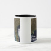 Mug Sud-Est des États-Unis (Centre)