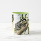 Mug Sugar glider (Centre)