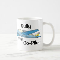 Sully est mon co-pilote