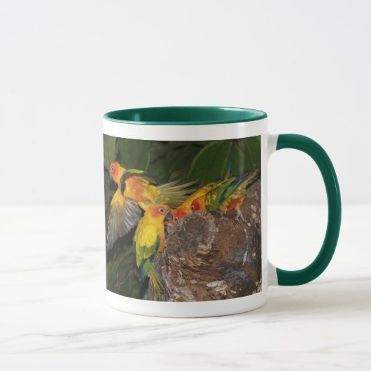 Mug Sun Conures (Droite)
