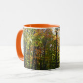 Mug Sunlit Fall Forest Paysage d'automne (Devant gauche)