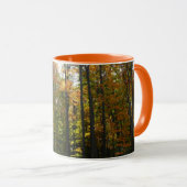 Mug Sunlit Fall Forest Paysage d'automne (Devant droit)