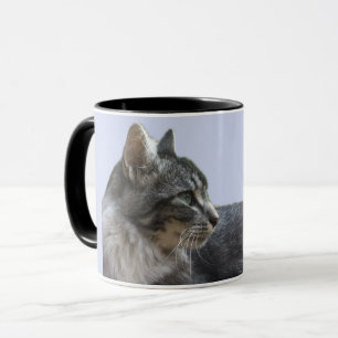 Mug Superbe Chat en retrait