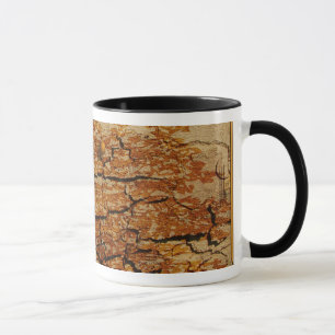 Mug Surface approximative