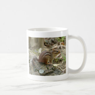 Mug Sweet Chipmunk Hot Springs National Park Cadfts