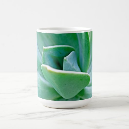 Mug Swirl Succulent (Centre)
