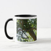 Mug Sycamore Tree Nature verte (Gauche)