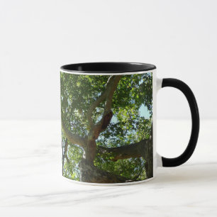 Mug Sycamore Tree Nature verte