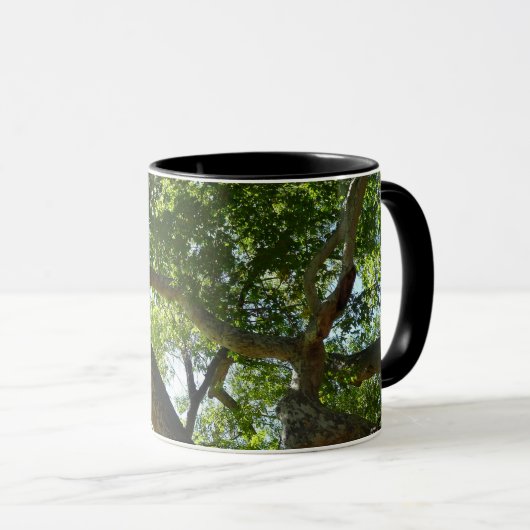 Mug Sycamore Tree Nature verte (Devant droit)