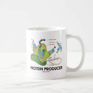 Mug Synthèse de la protéine de biologie des producteur