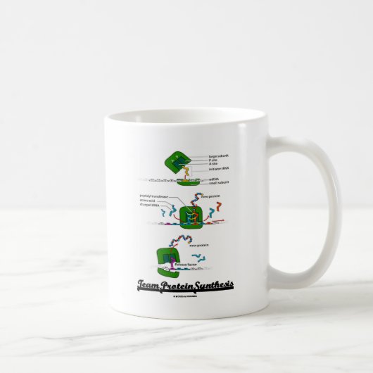 Mug Synthèse de la protéine d'équipe (Droite)
