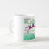 Mug Synthèse de la protéine Diagramme de la traduction (Devant gauche)