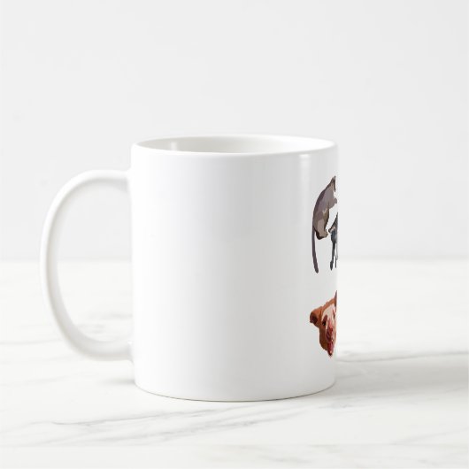 Mug T est pour Tree Kangaroo (Gauche)