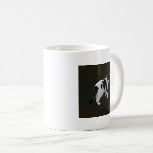 Mug Tabby Blanc Avec Patches Sombres (Devant droit)