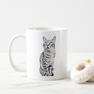Mug tabby cat
