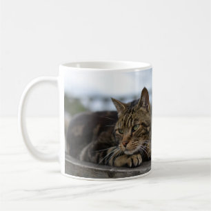 Mug Tabby cat prêt à l'action