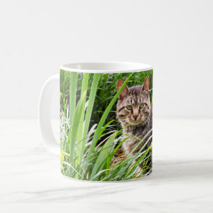 Mug Tabby Chat assis en herbe Photo