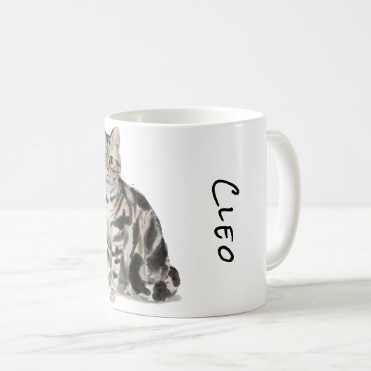 Mug Tabby en argent à courte distance américain (Devant droit)