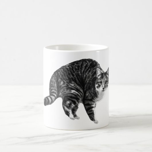 Mug Tabby Glow by Winter Window (Centre)