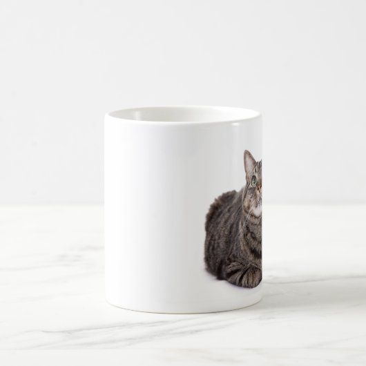 Mug Tabby Gris (Centre)