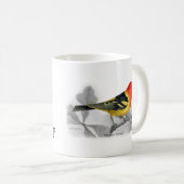 Mug Tanager de l'Ouest (Devant droit)