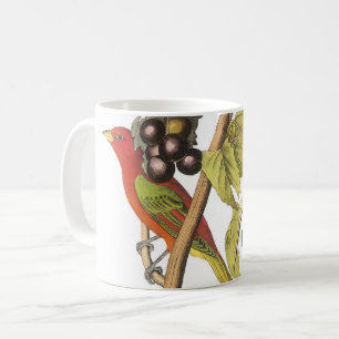 Mug Tanager d'été par Audubon