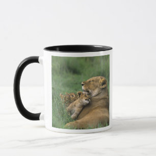 Mug Tanzanie, cratère de Ngorongoro. Mère lionne afric