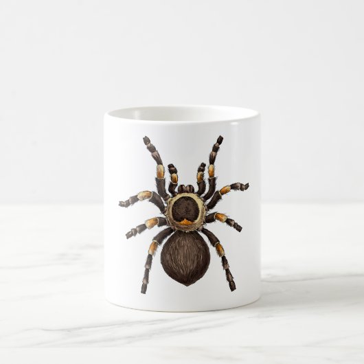 Mug Tarantula (Centre)