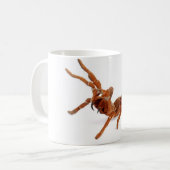 Mug Tarantula. du Roi Baboon (Devant gauche)