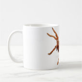 Mug Tarantula. du Roi Baboon (Gauche)