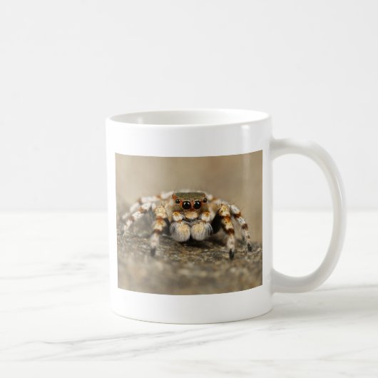 Mug Tarantula Jumping Bird Spider fantastiques accesso (Droite)
