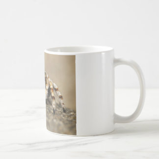 Mug Tarantula Jumping Bird Spider fantastiques accesso