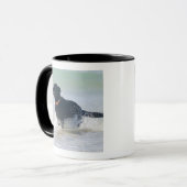 Mug Tarifa, Cadix, Espagne (Devant gauche)