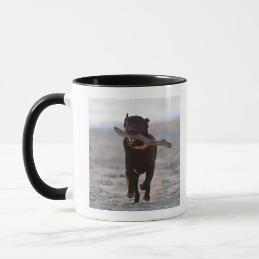 Mug Tarifa, Cadix, Espagne (Gauche)