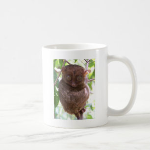 Mug Tarsier philippin