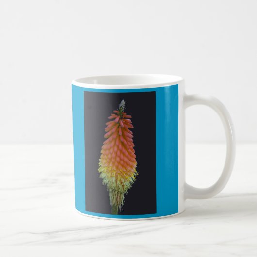 Mug Tasse, Kniphophia # 219 (Droite)