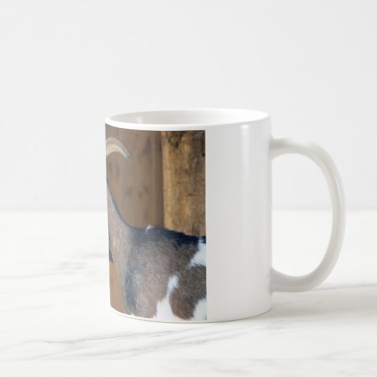 Mug Tauernschecken-Ziege (Droite)