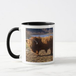 Mug Taureau de Highland Cattle, Écosse