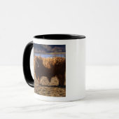 Mug Taureau de Highland Cattle, Écosse (Devant gauche)