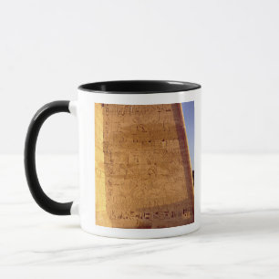 Mug Taureaux sauvages de chasse de Ramesses III