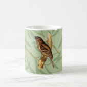 Mug Tawny Frogmouth Australian Bird (Centre)