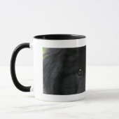 Mug Taza de café con ojos de perro negro (Gauche)