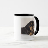 Mug Teckel miniature (Devant droit)