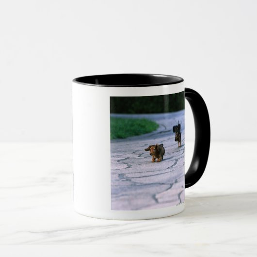 Mug Teckel miniature 3 (Devant droit)